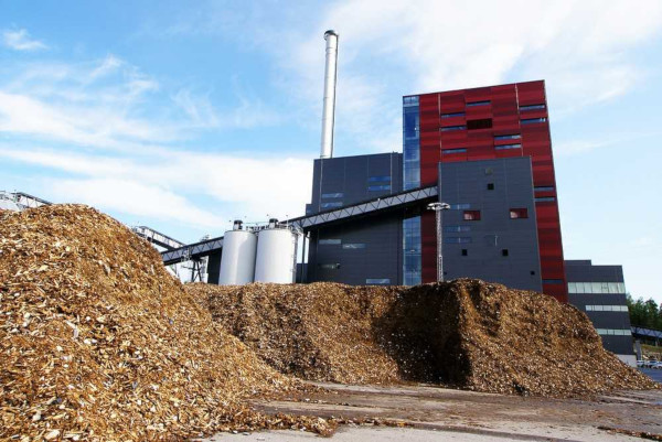 A bioenergia é produzida por meio da biomassa, composta de matéria orgânica, como resíduos de madeira.