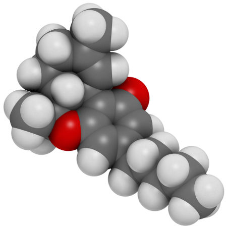 Representação dos átomos presentes na molécula de THC