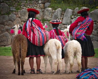 Algumas mulheres utilizando as Alpacas como meio de transporte, na cidade de Cusco, Peru