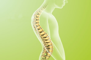 A coluna vertebral também é chamada de espinha.  