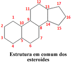 Estrutura comum dos esteroides
