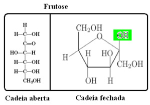 Fórmulas estruturais da frutose