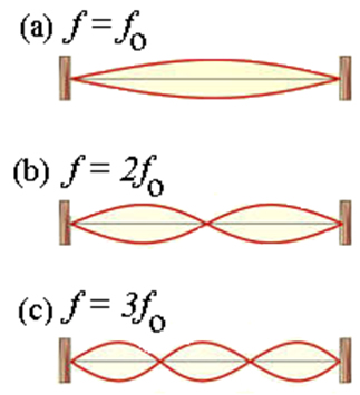A figura acima representa os três primeiros harmônicos de uma corda esticada e presa pelas extremidades