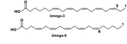 Estruturas dos isômeros ômega-3 e ômega-6