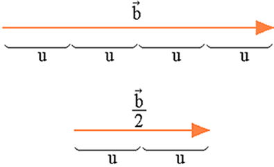 Vetor unitário b cujo módulo vale 4 unidades